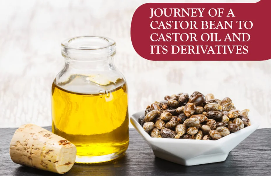 Journey of a castor bean to castor oil and its derivatives