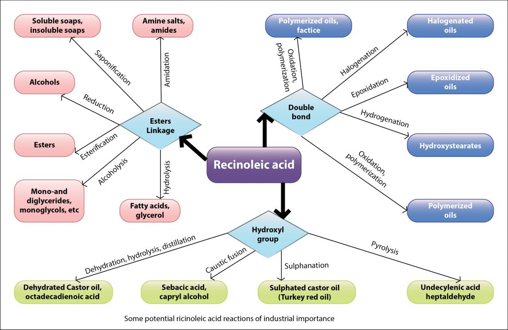 ricinoleic acid