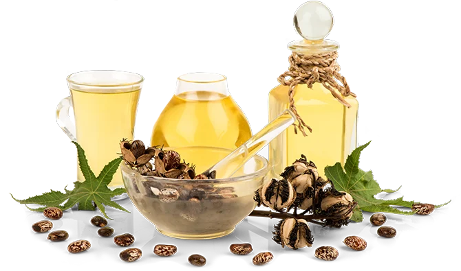 Delivering Only Excellence as the Leading Castor Oil Manufacturer