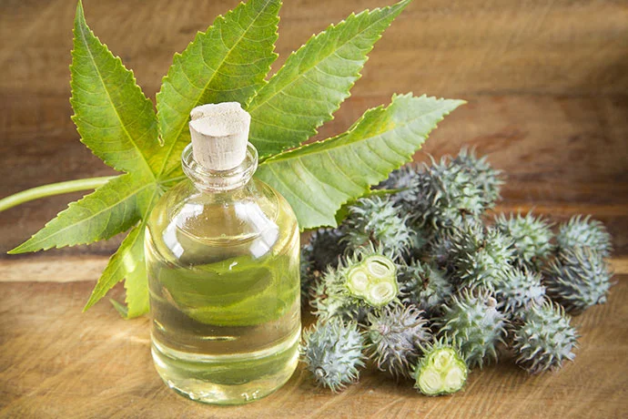 Castor Oil Soap
