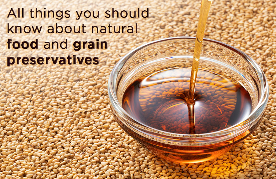 Beginner's Guide to Natural Preservatives - Oh, The Things We'll Make!