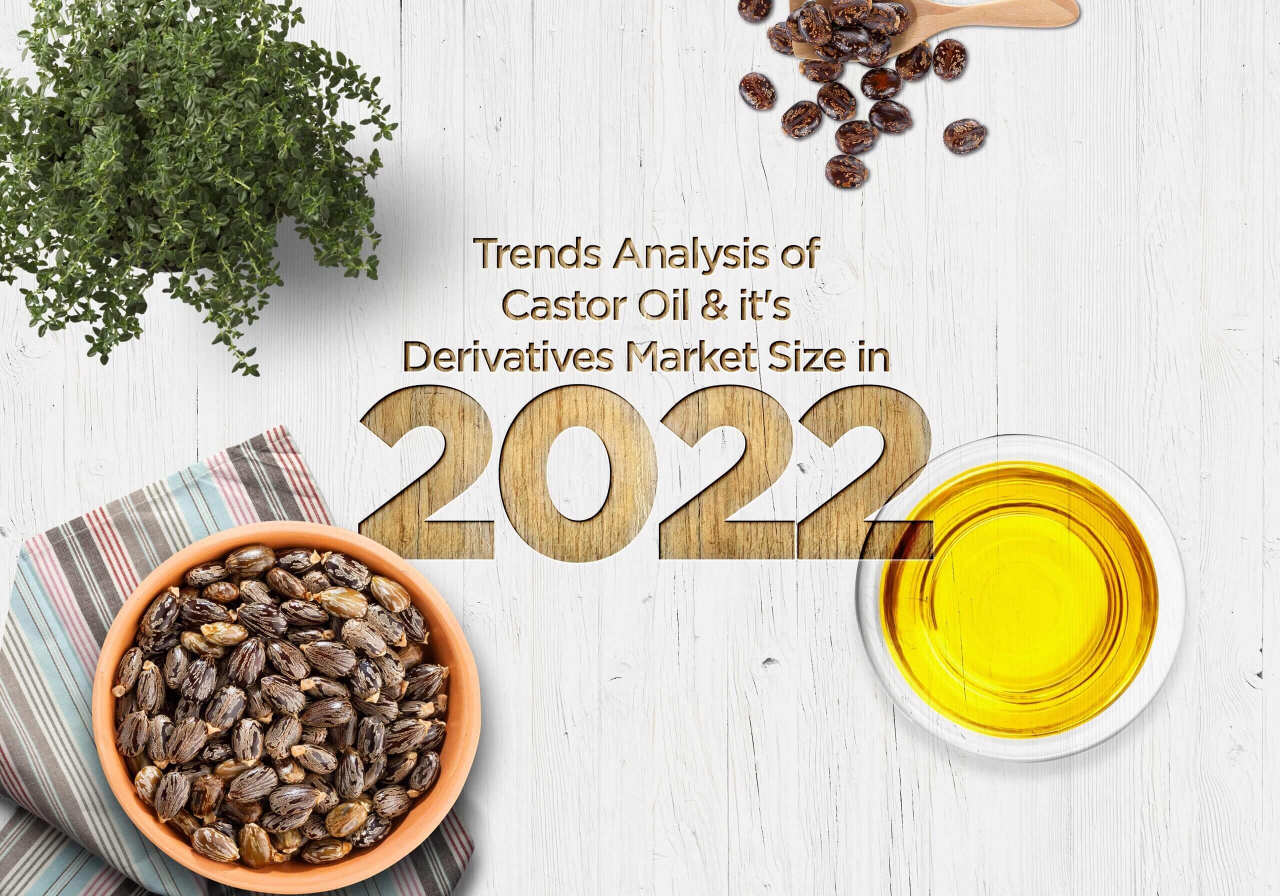 Trends Analysis of Castor Oil and its Derivatives in 2022