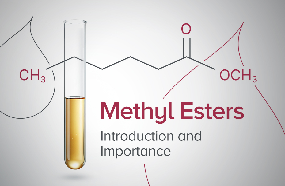 What Are Methyl Esters and Why Are They Important in Today’s Industries?