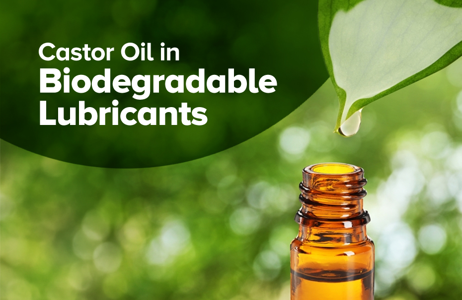 Using Castor Oil in Biodegradable Lubricants: Benefits & Performance
